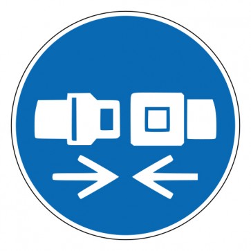 Schild Gebotszeichen Rückhaltesystem benutzen · ISO 7010 M020