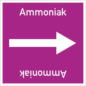 Rohrleitungskennzeichnung viereckig Ammoniak · ALU-SCHILD