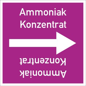 Schild Rohrleitungskennzeichnung viereckig Ammoniak Konzentrat · selbstklebend