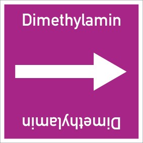 Schild Rohrleitungskennzeichnung viereckig Dimethylamin · selbstklebend