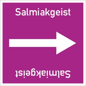 Rohrleitungskennzeichnung viereckig Salmiakgeist · MAGNETSCHILD