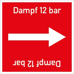 Rohrleitungskennzeichnung viereckig Dampf 12 bar · MAGNETSCHILD