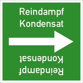 Rohrleitungskennzeichnung viereckig Reindampf Kondensat · MAGNETSCHILD