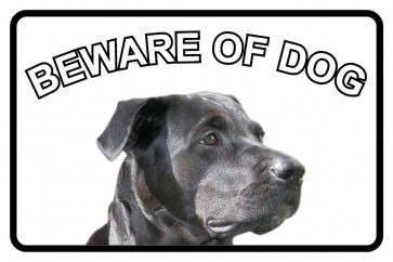 Schild Beware of Dog · selbstklebend