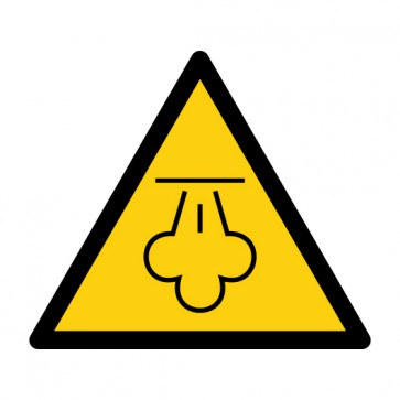 Schild Warnzeichen Warnung vor heißem Dampf · ISO 7010 W080 · selbstklebend