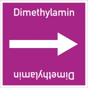 Rohrleitungskennzeichnung viereckig Dimethylamin · Aufkleber | stark haftend