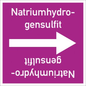 Rohrleitungskennzeichnung viereckig Natriumhydrogensulfit · MAGNETSCHILD