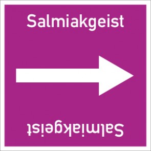 Rohrleitungskennzeichnung viereckig Salmiakgeist · ALU-SCHILD