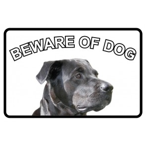 Schild Beware of Dog