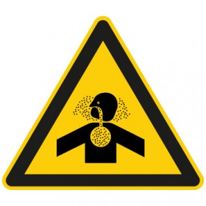 Warnzeichen Warnung vor giftigen Gasen · MAGNETSCHILD