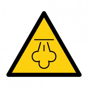 Magnetschild Warnzeichen Warnung vor heißem Dampf · ISO 7010 W080